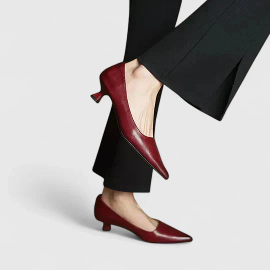 Dakota | Dames elegante puntige pumps met lage hak