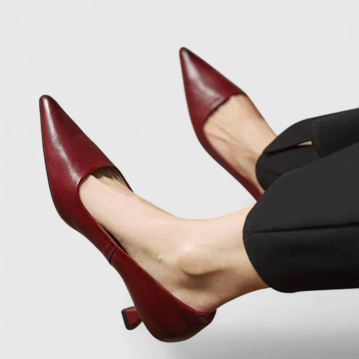 Dakota | Dames elegante puntige pumps met lage hak